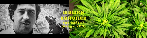 прущие грибы Армянск