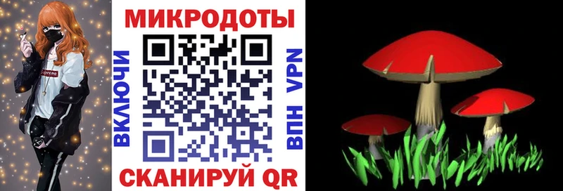 Галлюциногенные грибы мицелий  Купить закладки  Суздаль 