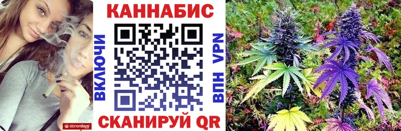 Марихуана семена  Купить закладки  Суздаль 